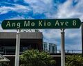 Ang-Mo-Kio-Avenue-8.jpg