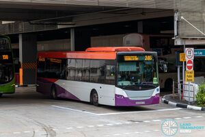 SBS8047P 246 (SBST).jpg