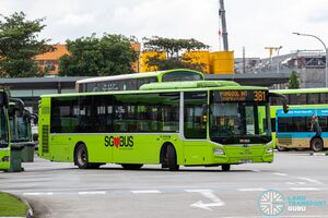 SG1851S 381.jpg