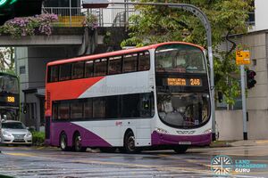 SG5346H 246.jpg