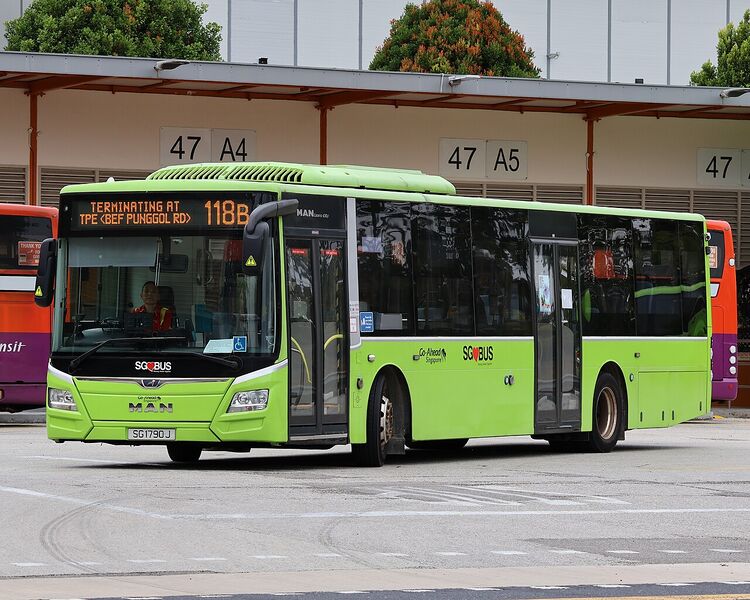File:SG1790J 118B.jpg