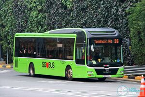 SG1720L 36.jpg