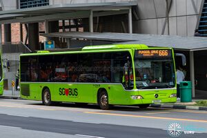 SG1195C 666.jpg