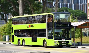 SG5999Z 7.jpg